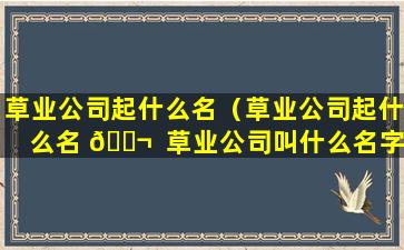 草业公司起什么名（草业公司起什么名 🐬  草业公司叫什么名字发财）